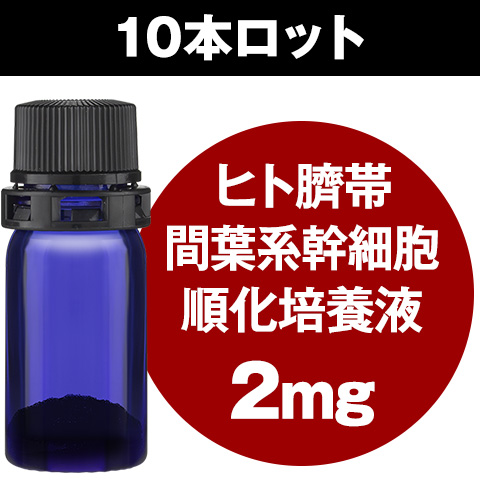 ヒト臍帯間葉系幹細胞順化培養液（2ｍgフリーズドライ）10本セット
